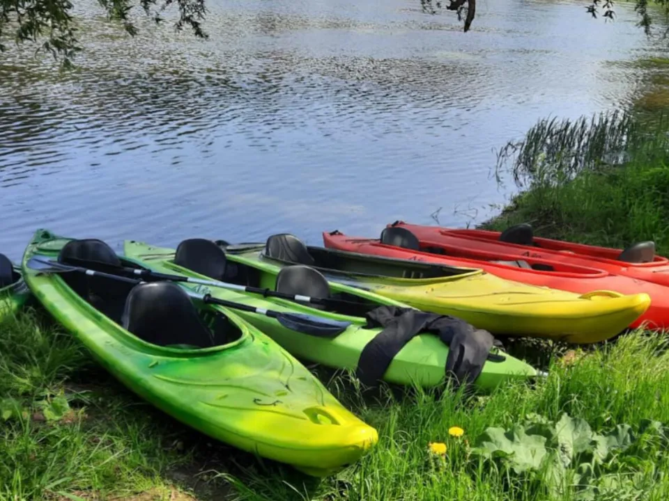 Фото: Хавива Фонина