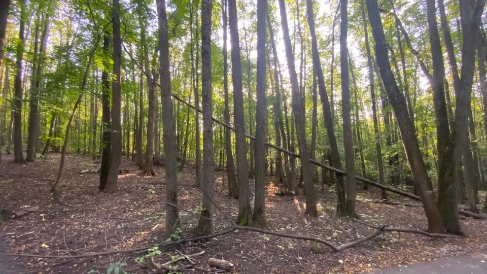 Фото: REGIONS/Антонина Гареева