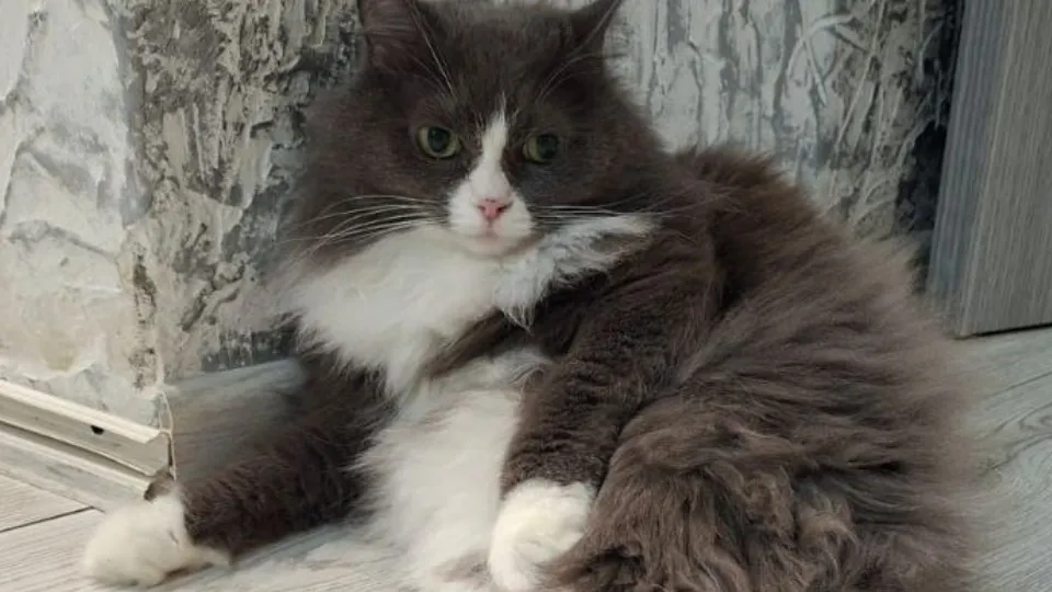 Фото: REGIONS/Юлия Габбасова