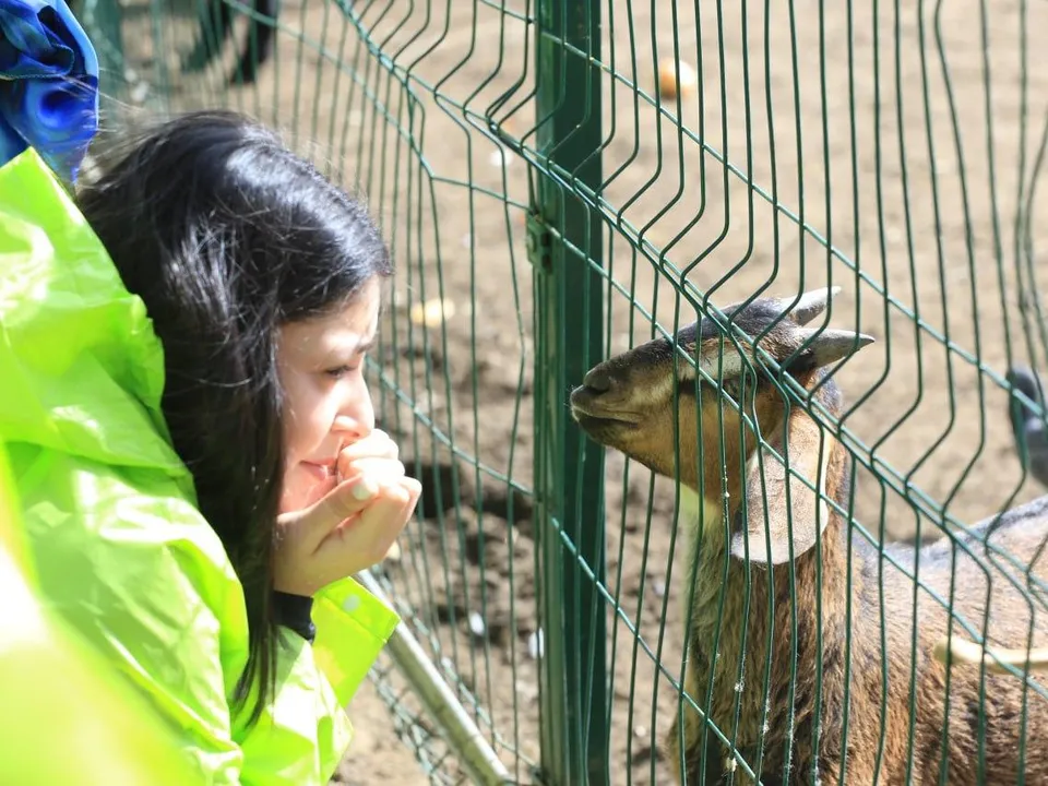 Фото: Николо-Угрешский монастырь