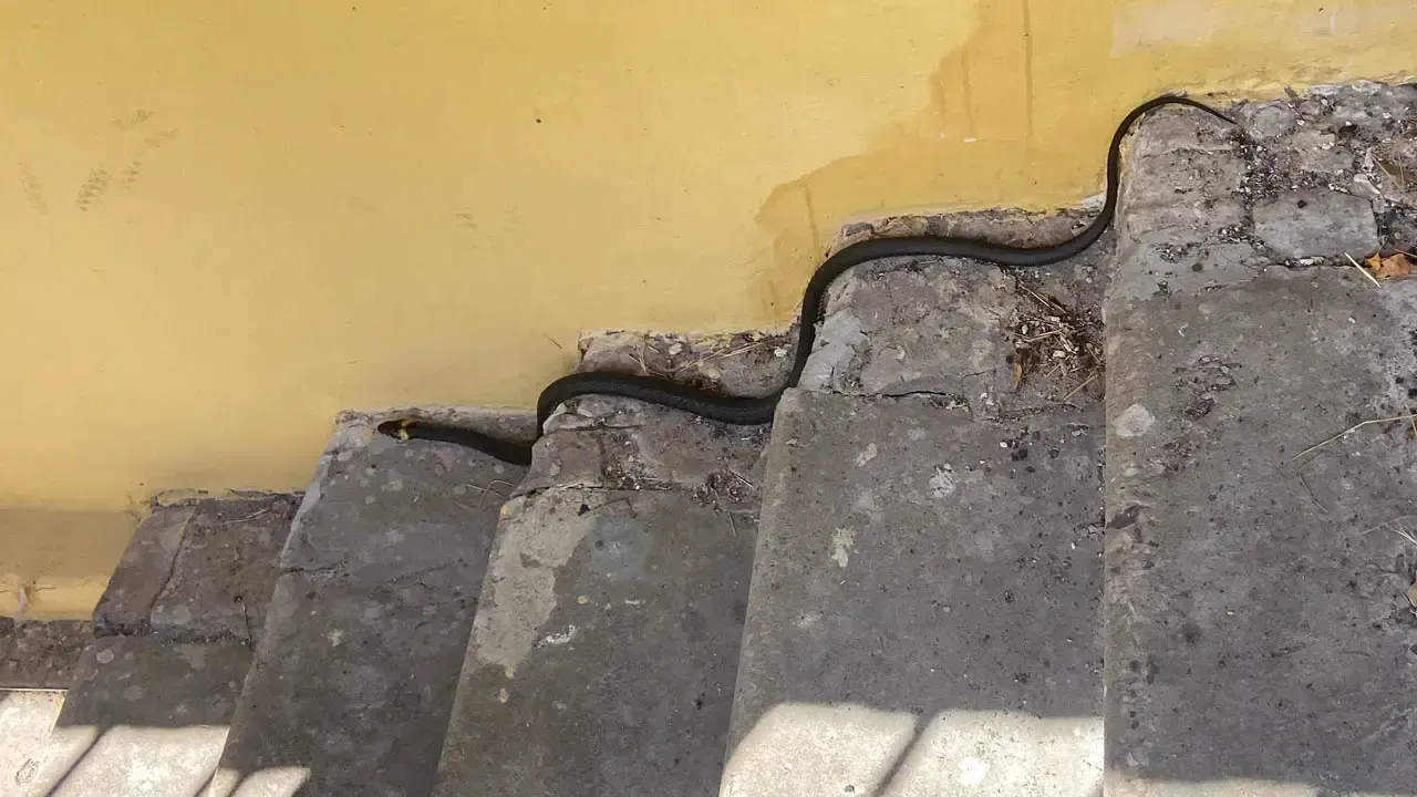 REGIONS/Владимир Ерастов