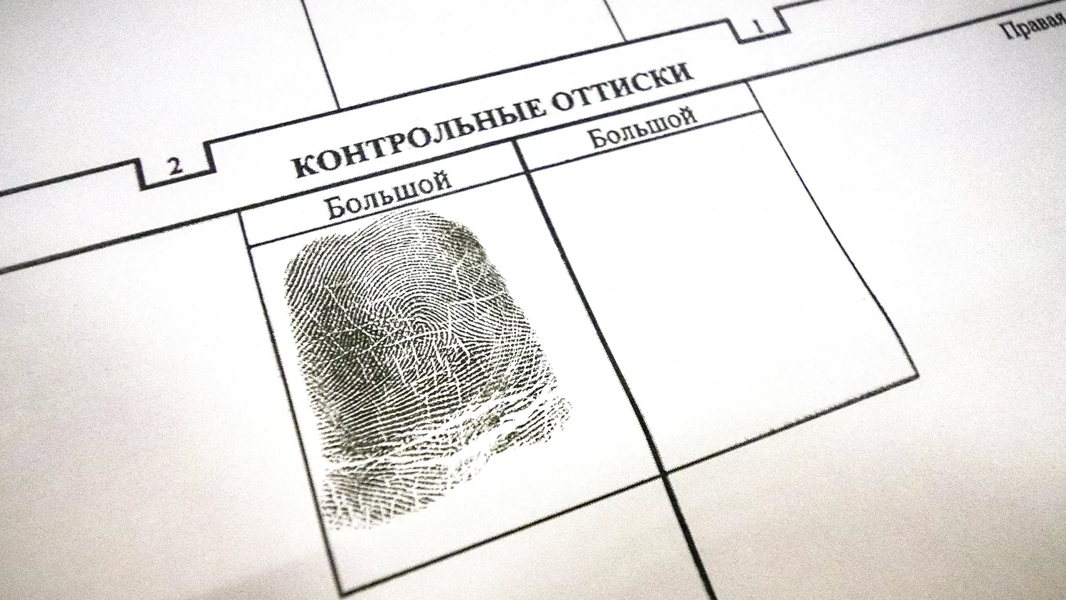 Фото: МедиаБанк Подмосковья/Данила Кирьянов