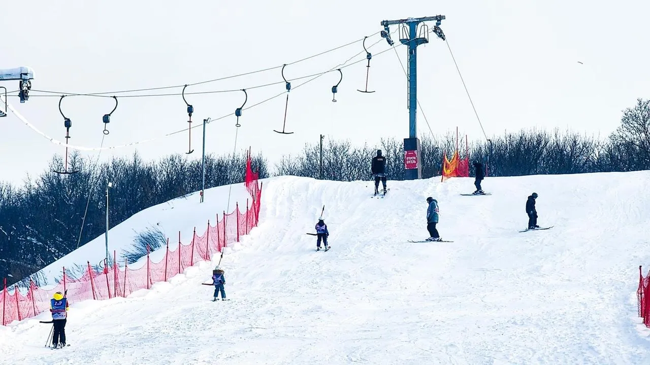 REGIONS/Мария Панина