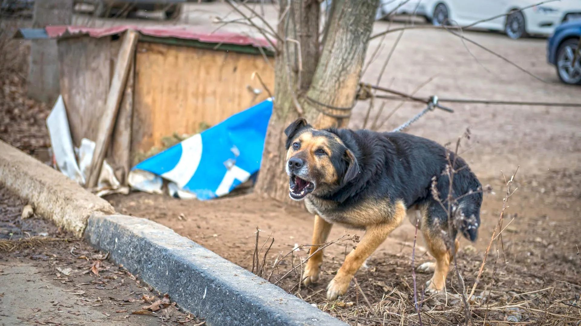 Фото: Павел Попов / Подмосковье сегодня