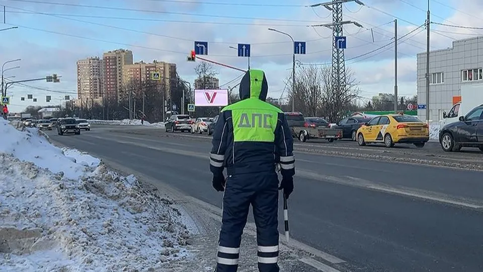 Фото: МедиаБанк Подмосковья/Евгения Герасимова