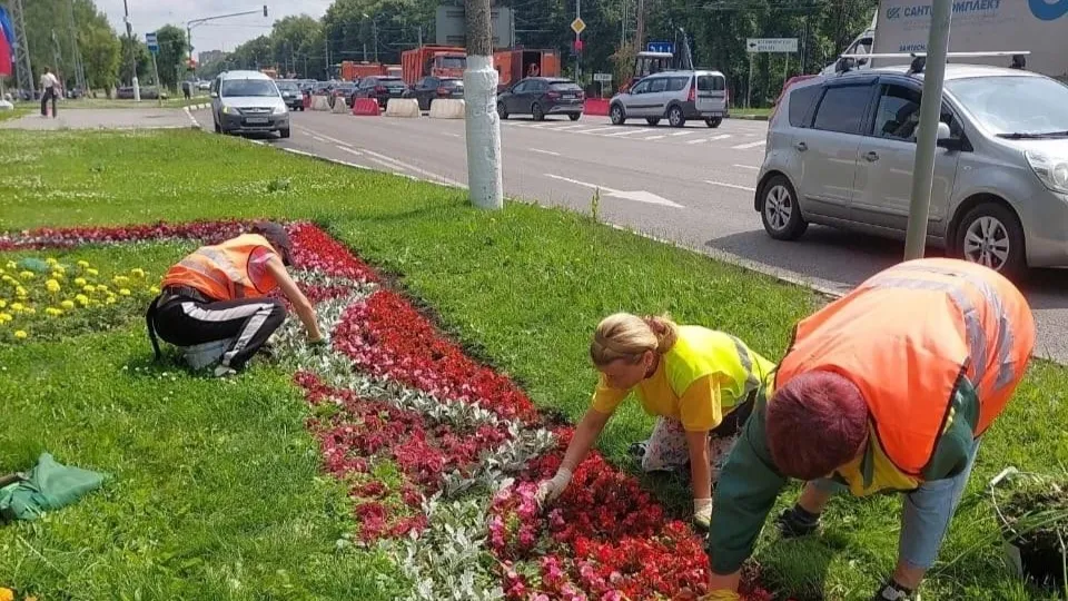 Фото: Минчистоты Московской области