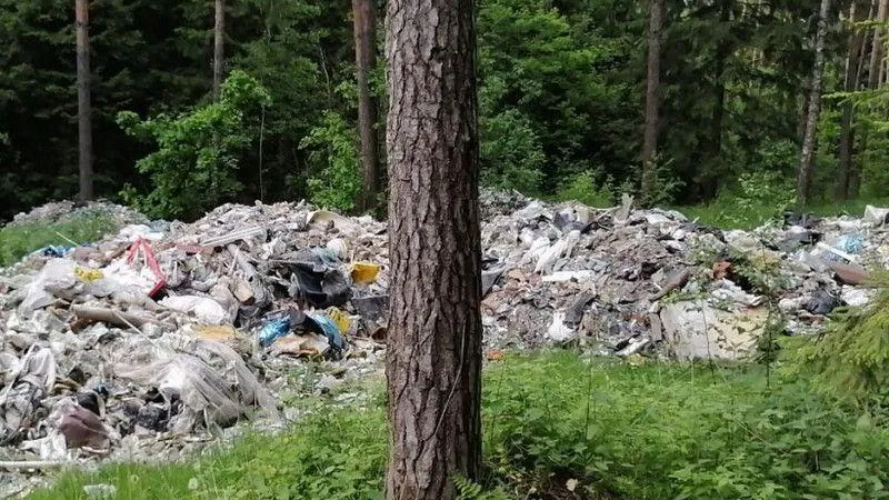 Пресс-служба Комитета лесного хозяйства МО