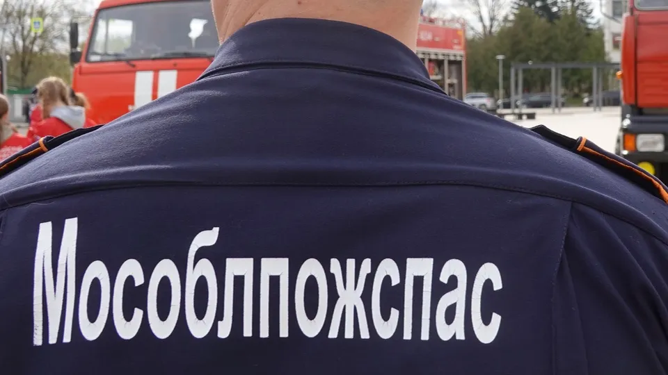 Фото: ТАСС/Александр Артеменков