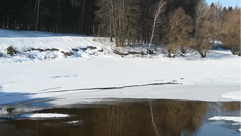 Фото: REGIONS/Наталия Надточая