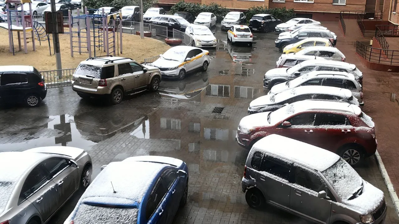 Фото: t.me/prodomodedovo