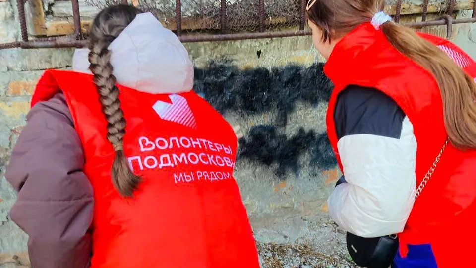 Фото: Молодежный центр Электрогорска