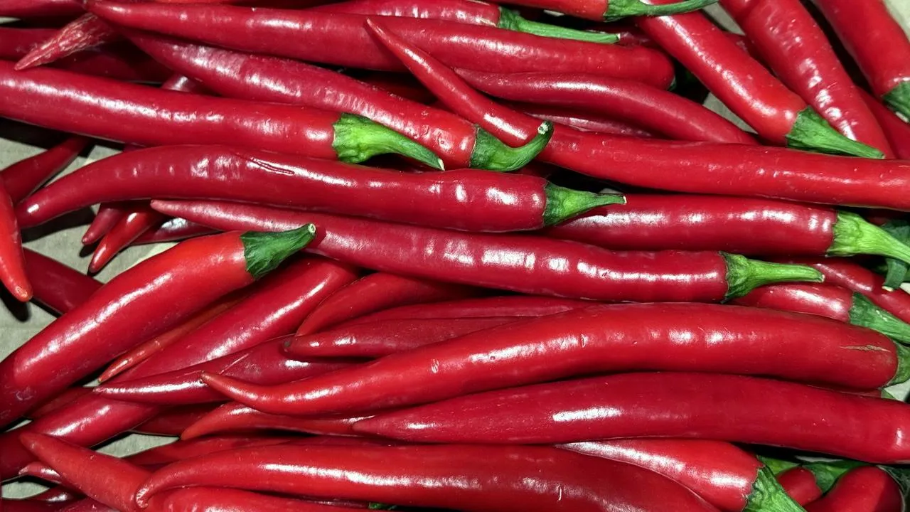 REGIONS/Александр Легкий