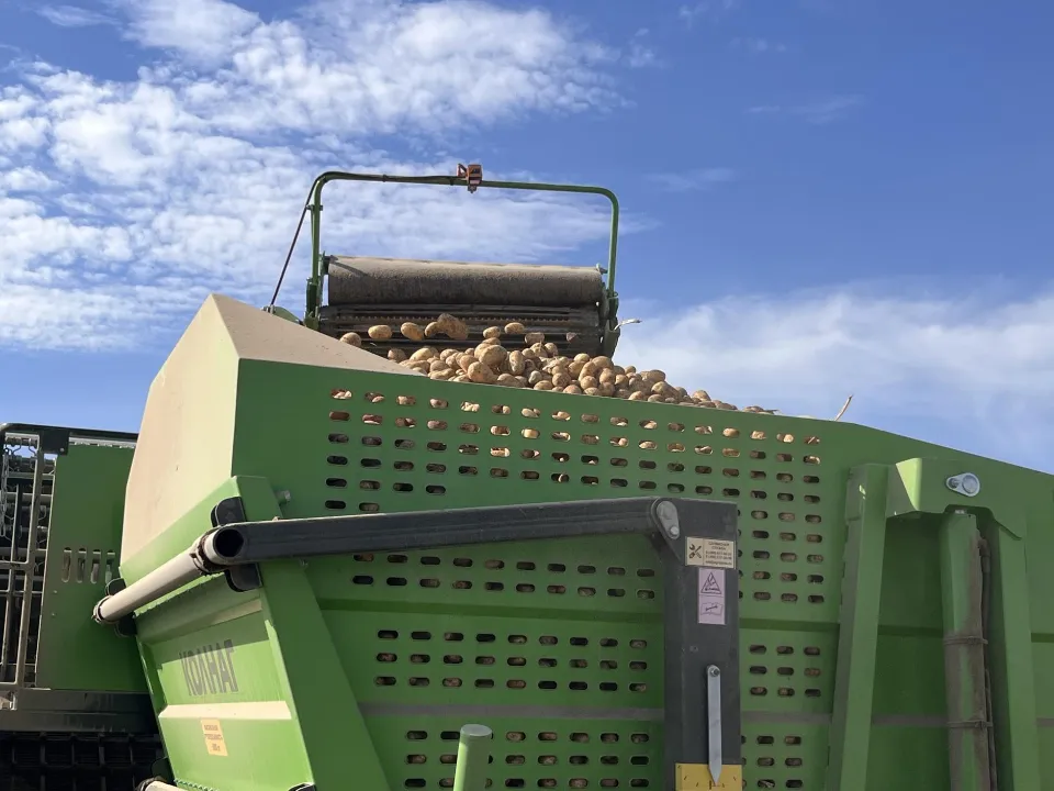 Фото: МедиаБанк Подмосковья/Ангелина Стельмух