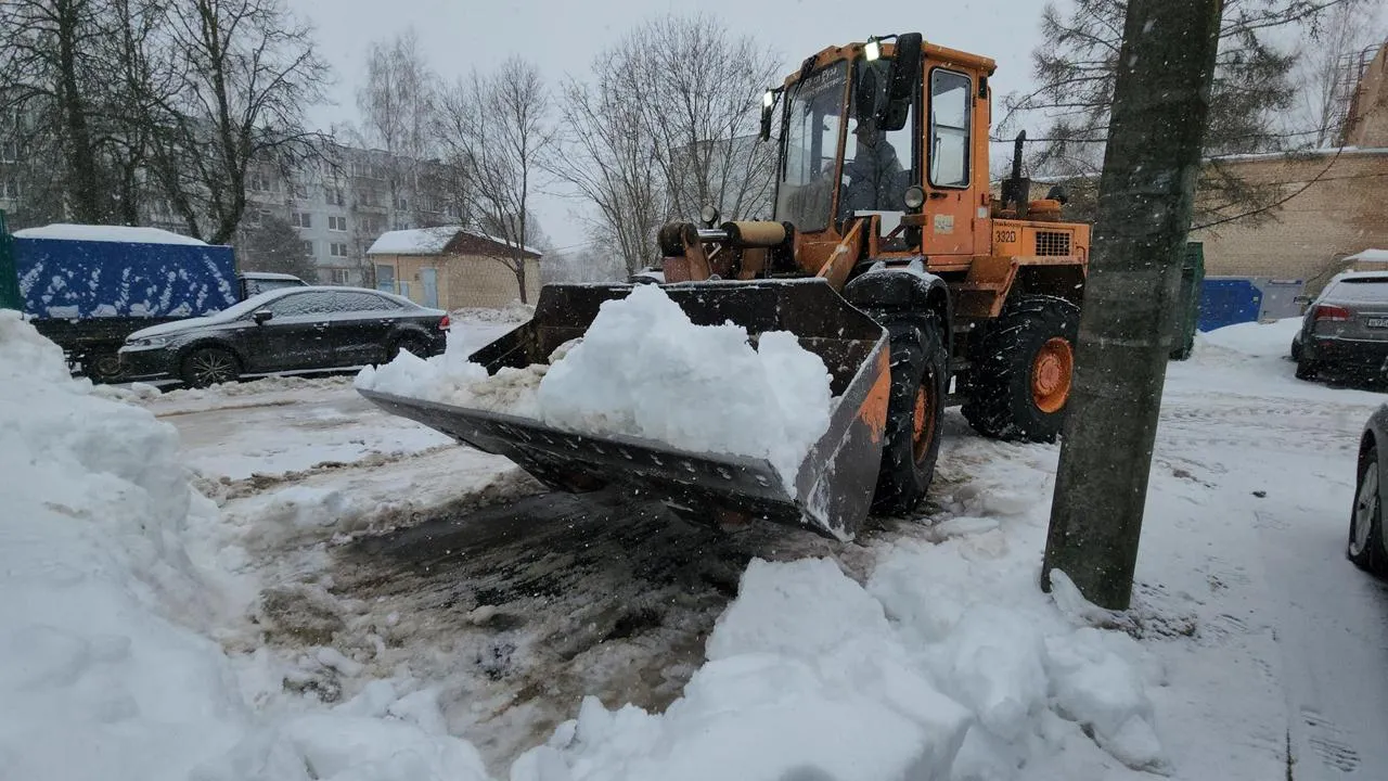 МедиаБанк Подмосковья/Екатерина Данилина