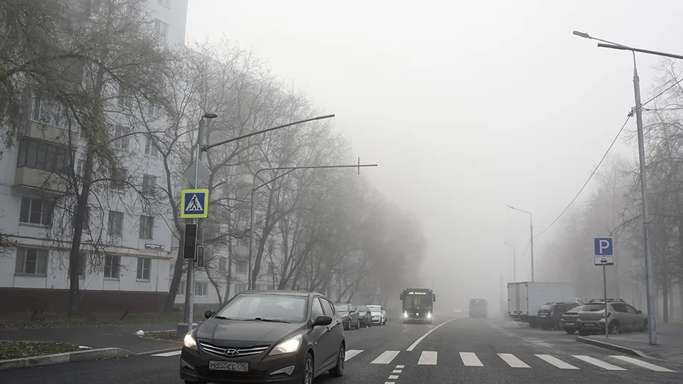 Фото: медиасток.рф