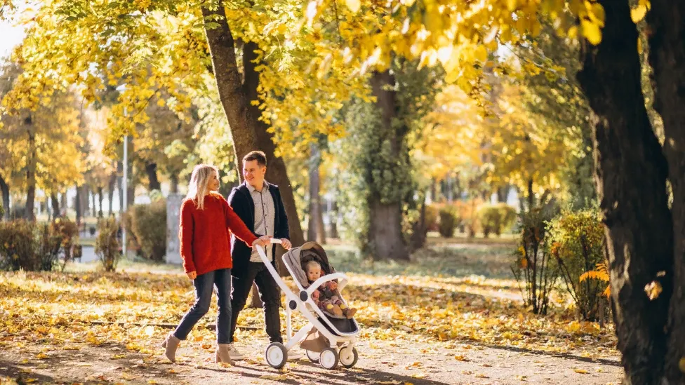 медиасток.рф