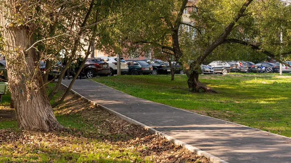 Фото: пресс-служба администрации г.о. Пушкинский