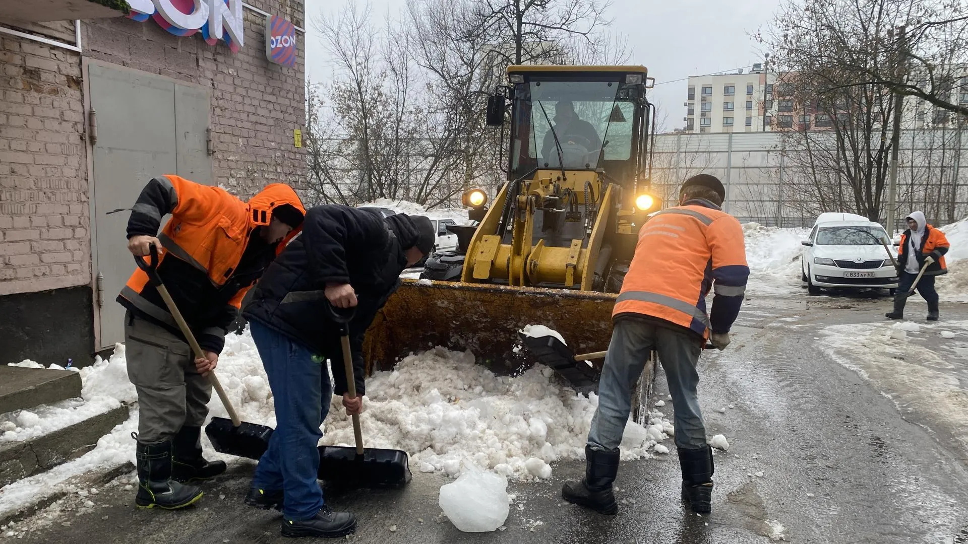 Анна Артюшина