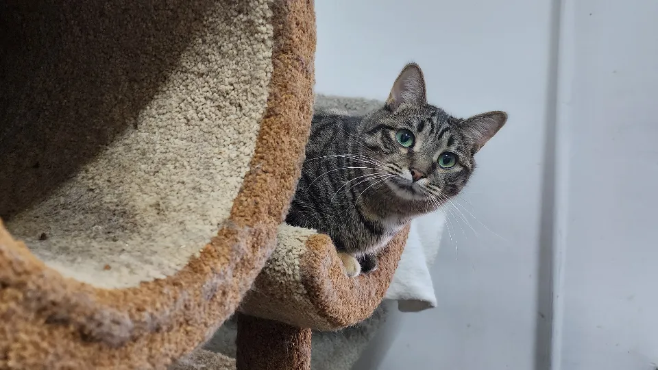 Фото: МедиаБанк Подмосковья/Максим Сафронов