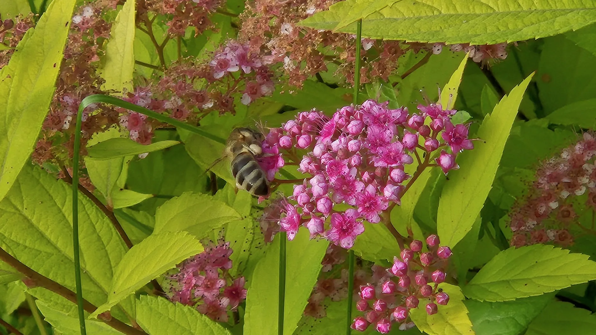Фото: Анна Иванова