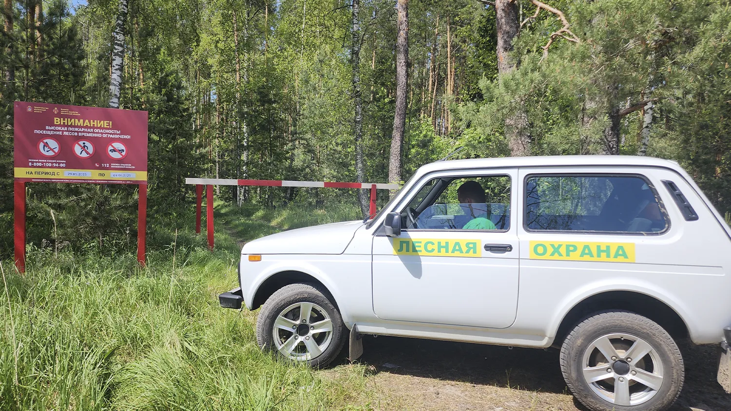 Фото: МедиаБанк Подмосковья/Юлия Андросова