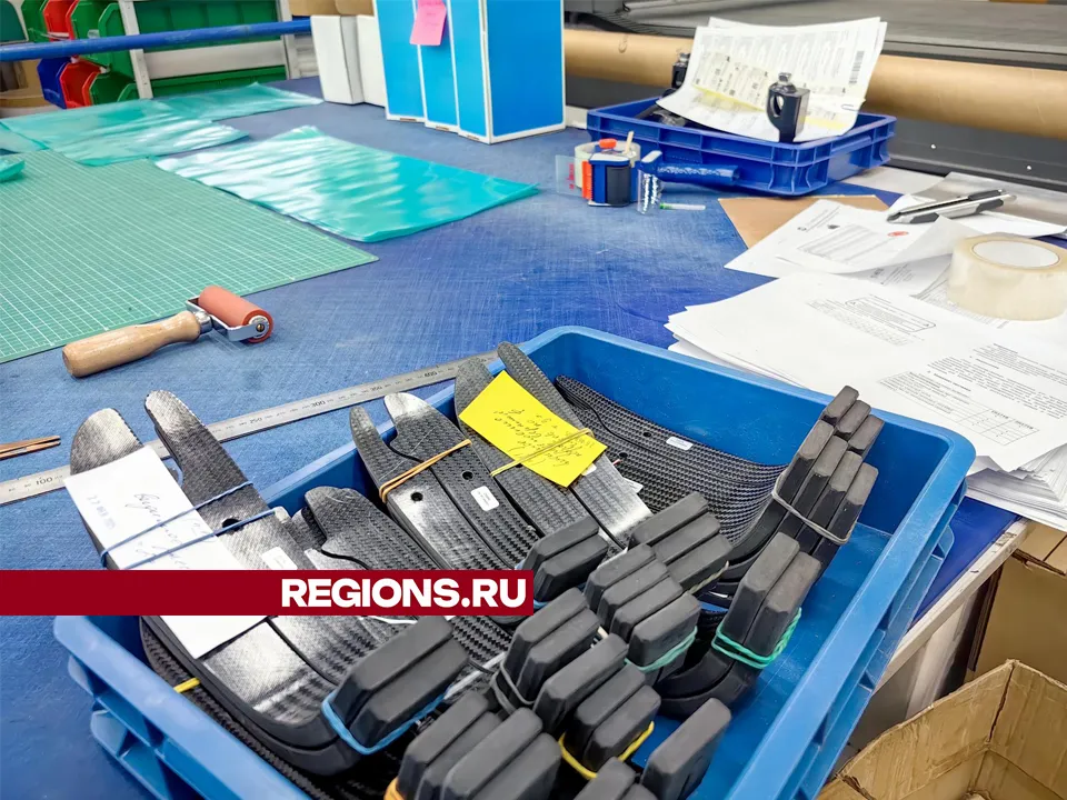 Фото: REGIONS/Елена Катасонова