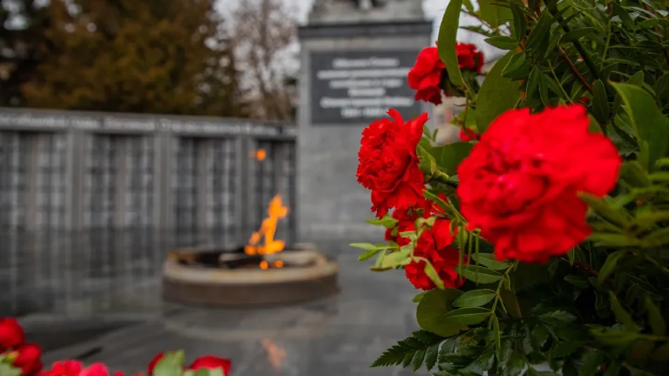 Фото: пресс-служба администрации г.о. Домодедово