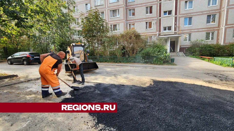 Фото: Дмитрий Алексеенко