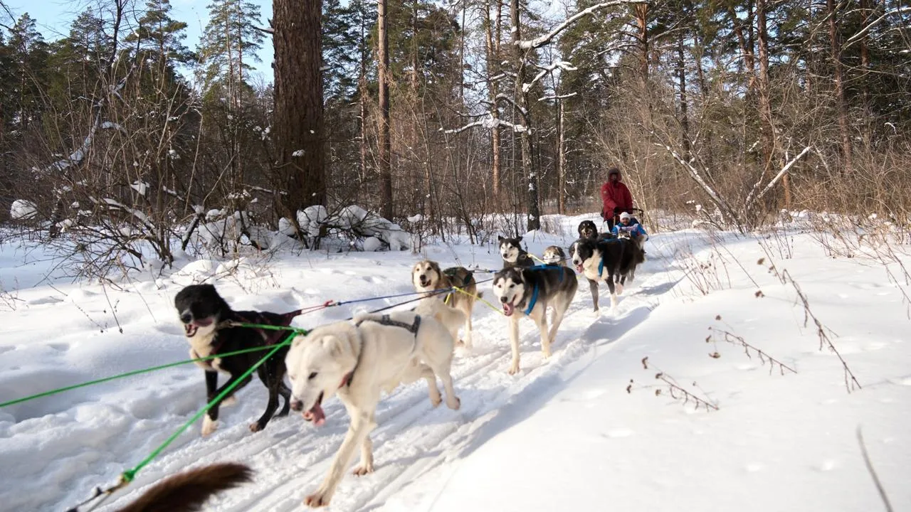 пресс-служба компании «МЕТИЗ»