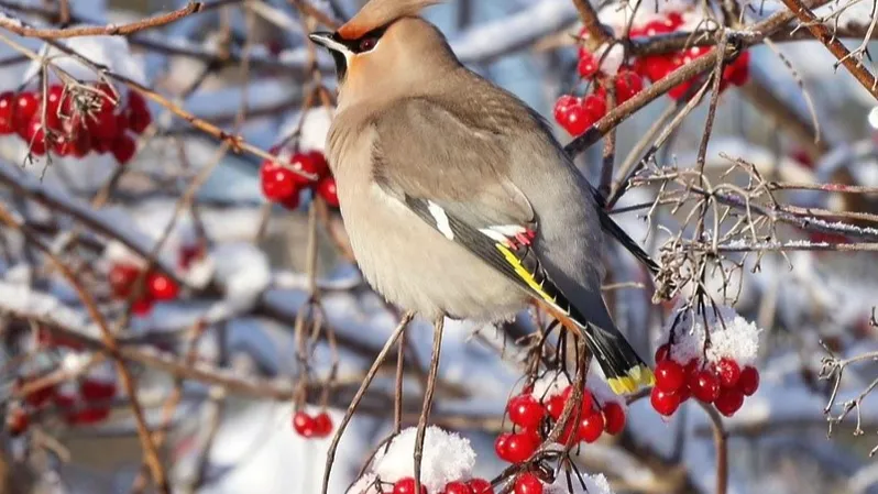 Фото: минэкологии МО