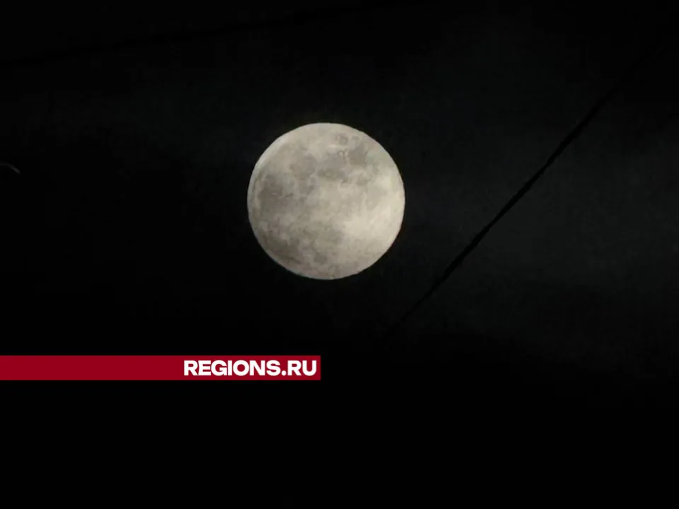 Фото: Михаил Моисеев