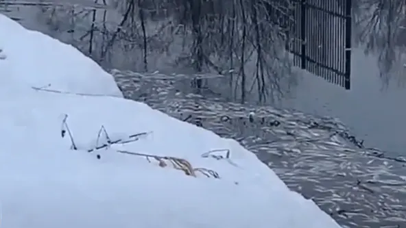 Экооборона