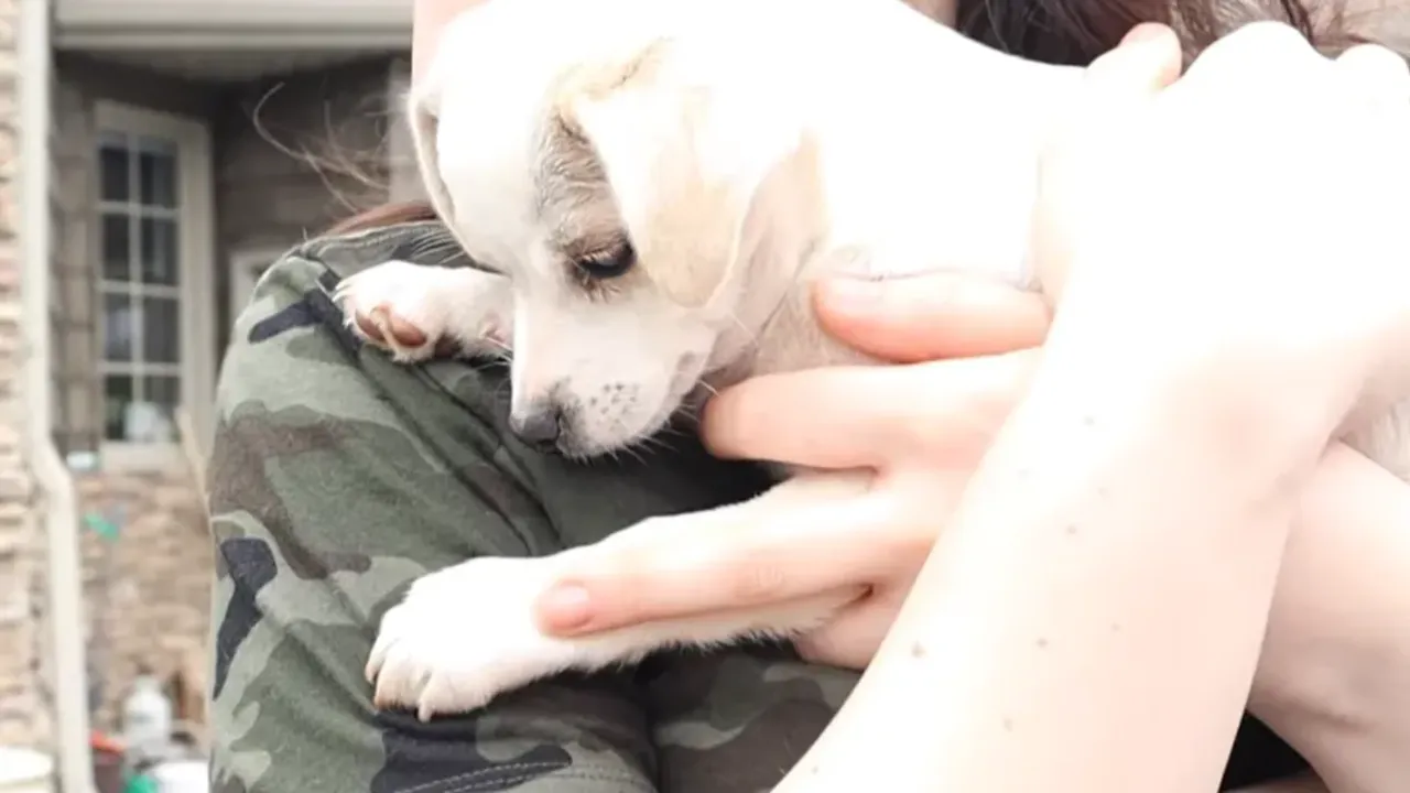 личный архив семьи Гайнутдиновых