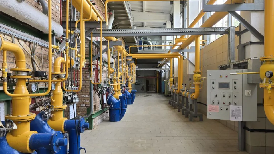 Фото: МедиаБанк Подмосковья/Яна Шаливская