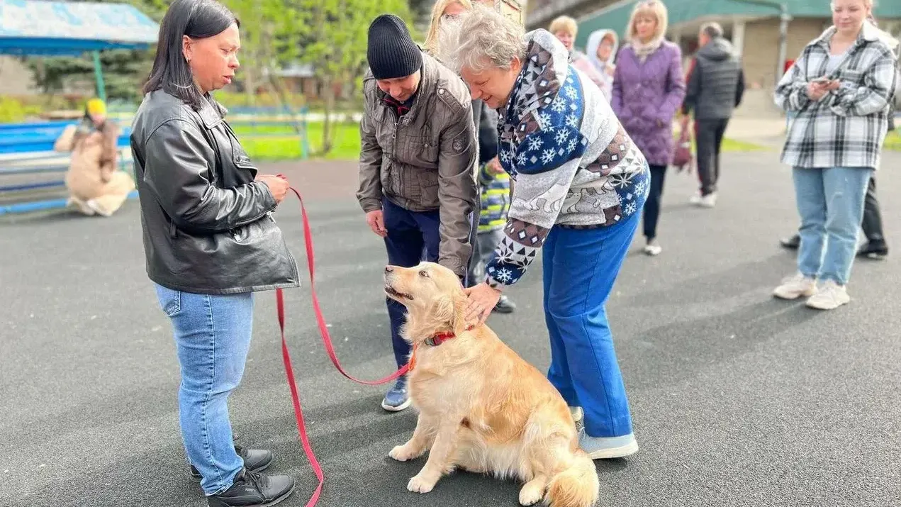 Фото: Министерство социального развития Московской области