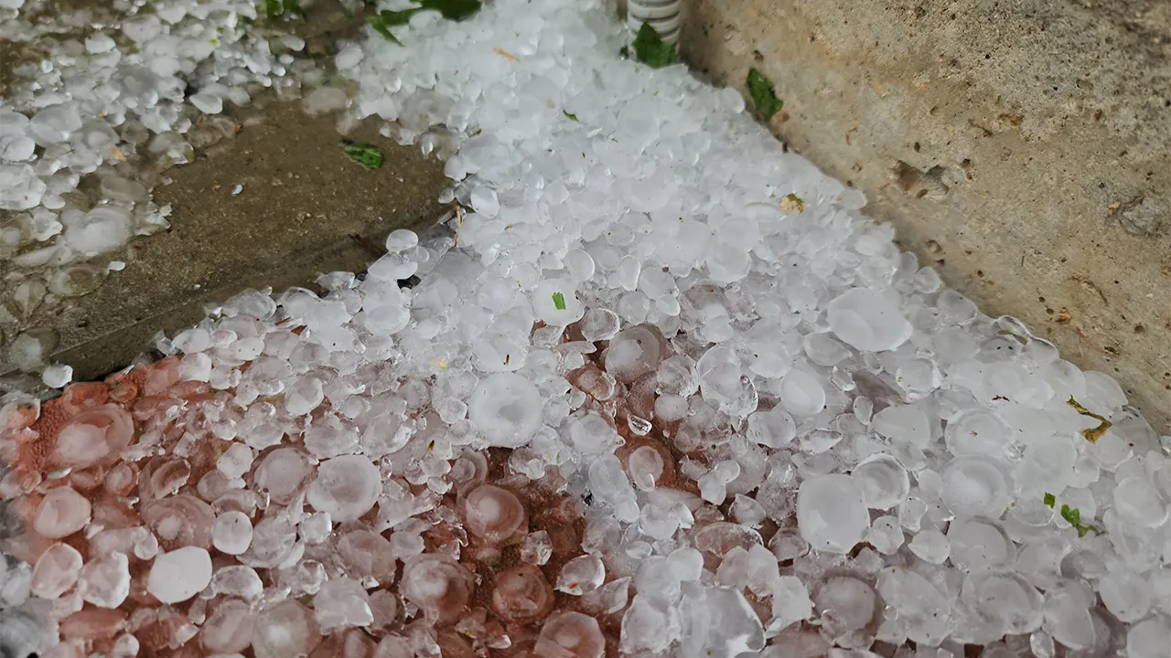 МедиаБанк Подмосковья/Екатерина Данилина