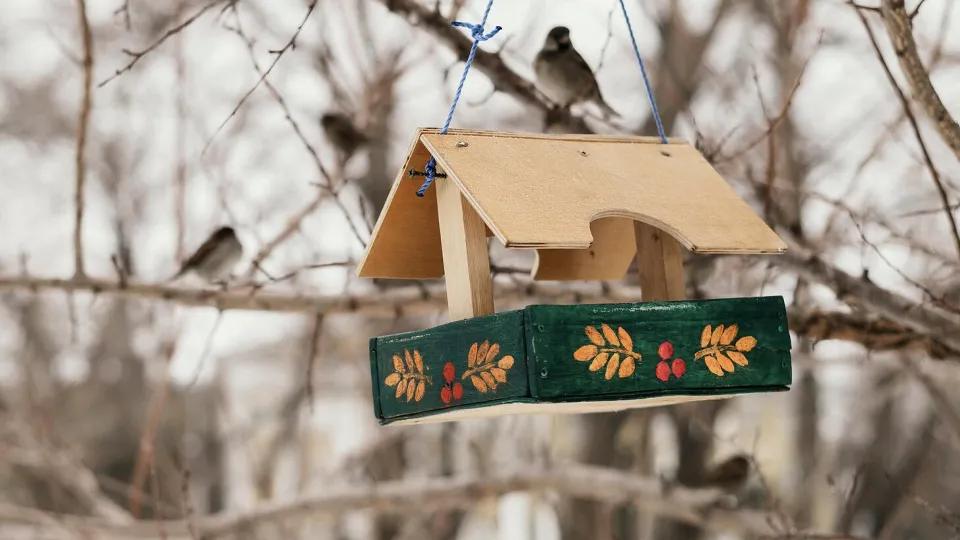 Фото: freepik.com