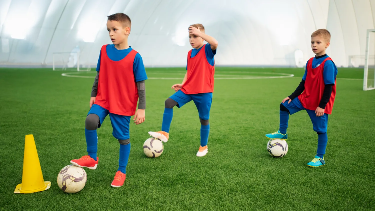 Фото: freepik.com