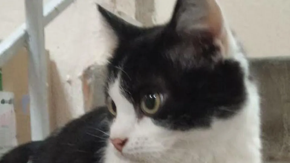 Фото: соцсети