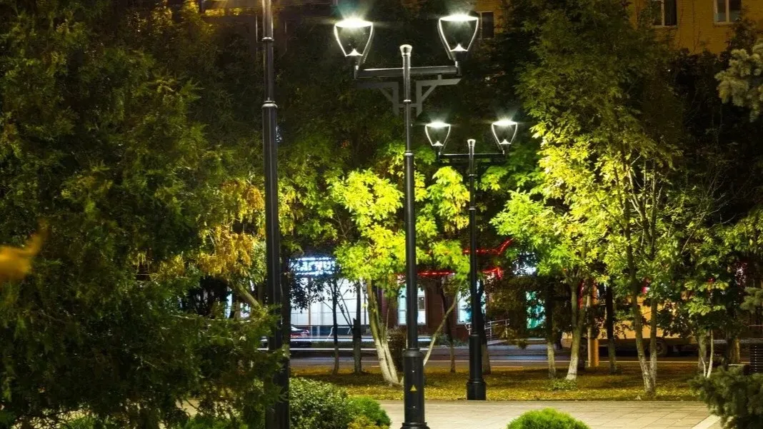 Фото: Министерство благоустройства Московской области