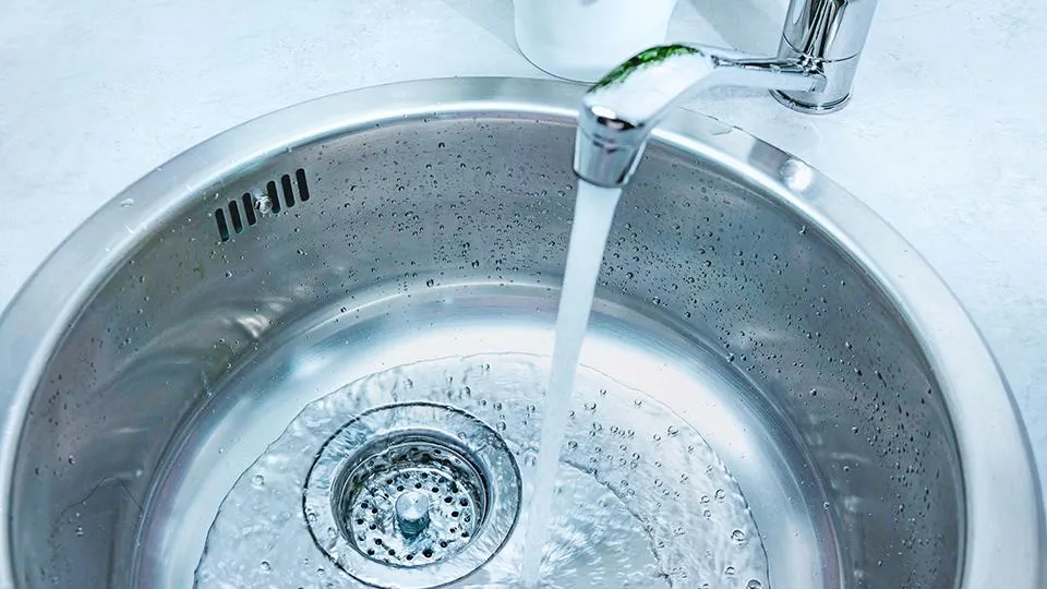 Фото: istockphoto.com/Eplisterra