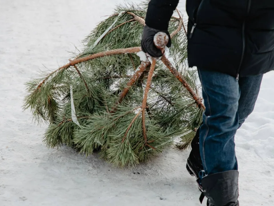 Фото: пресс-служба администрации г.о. Химки