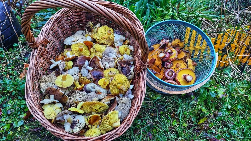 Фото: Василий Потапов