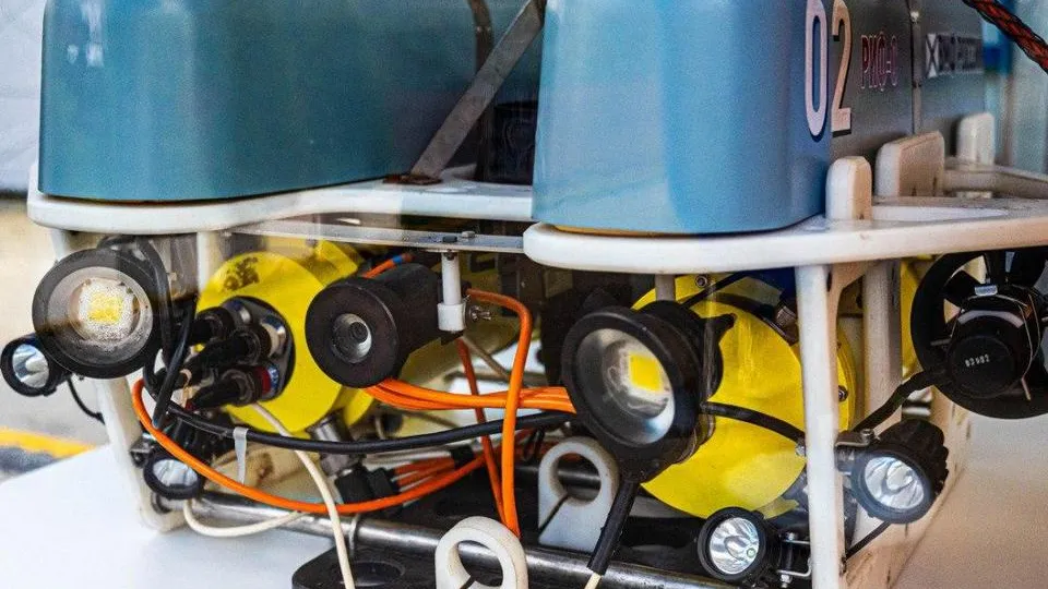 Фото: пресс-служба администрации городского округа Мытищи