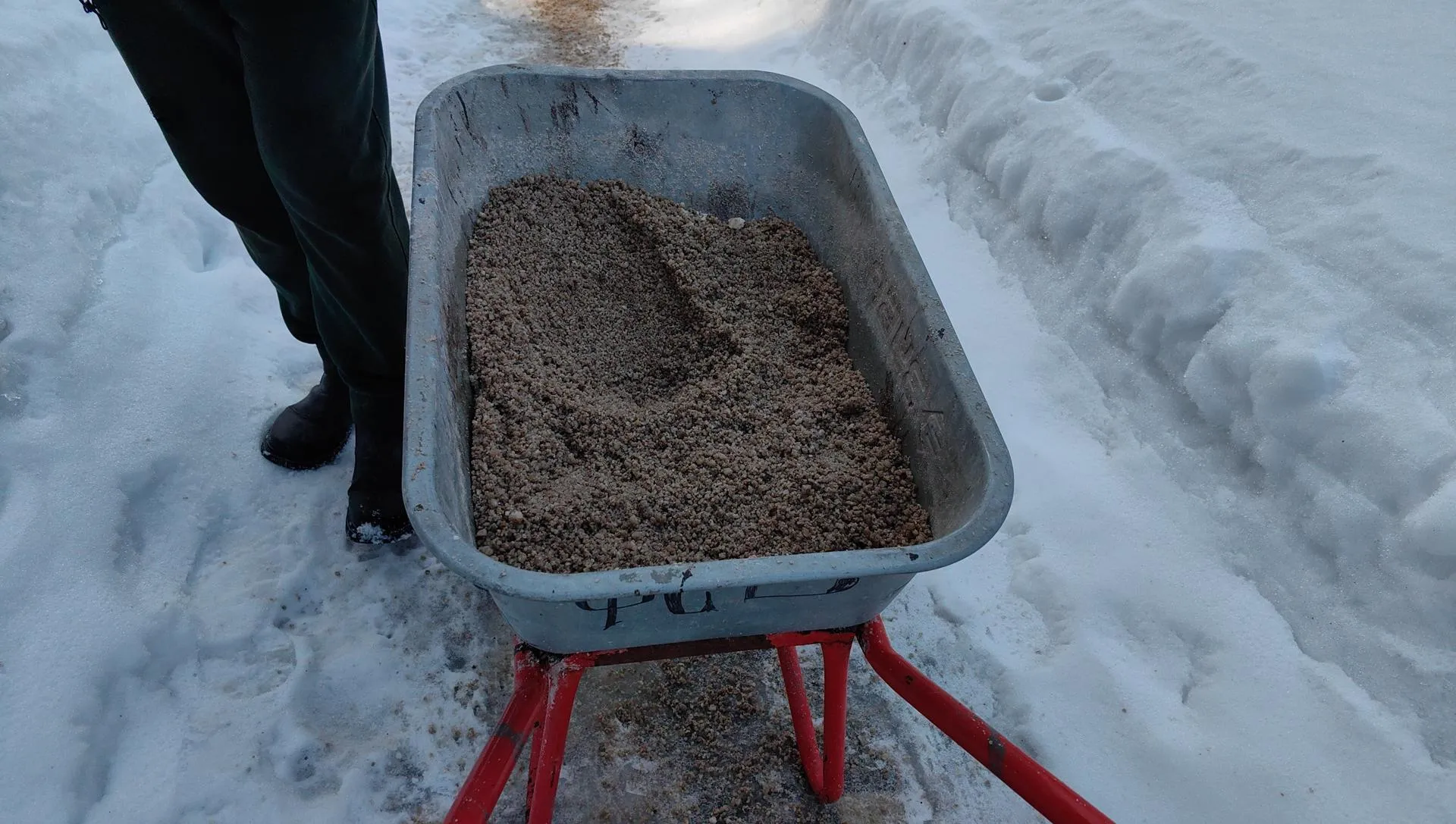 Елена Катасонова