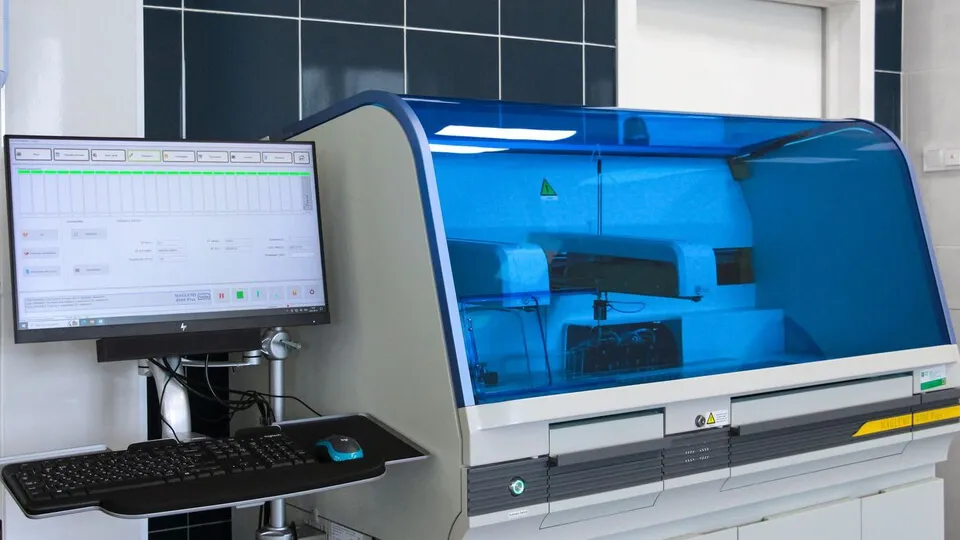 Фото: медиасток.рф