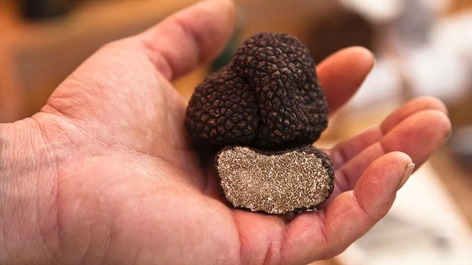 Фото: istockphoto.com/Brasil2