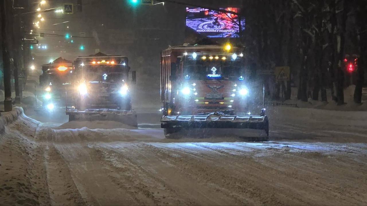 МедиаБанк Подмосковья/Марина Анисимова