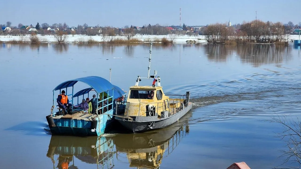 МедиаБанк Подмосковья/Анна Шолохова