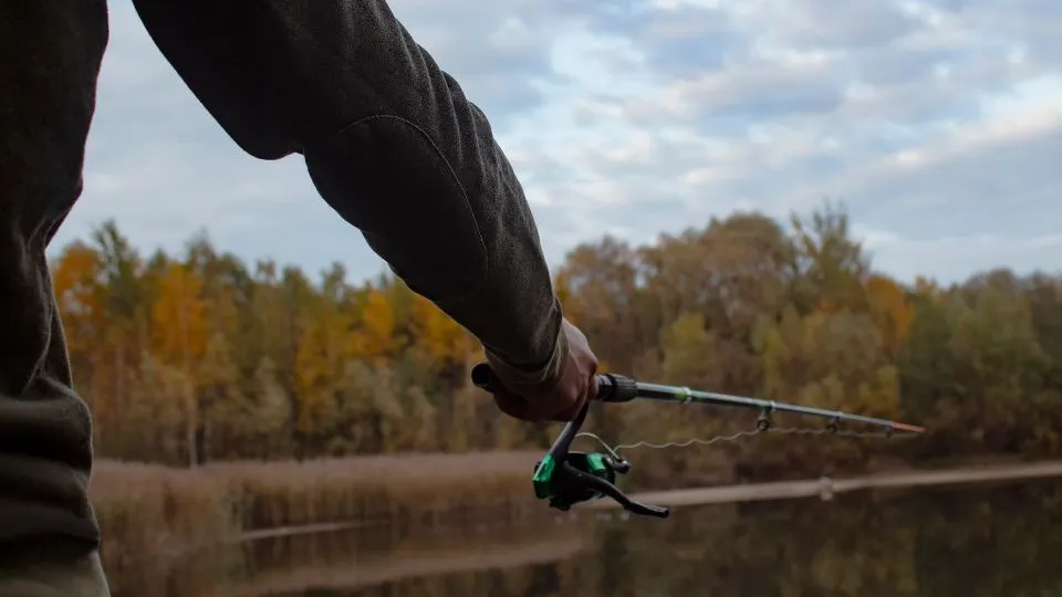 Фото: istockphoto.com/vadishzainer